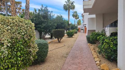 Planta baixa en venda a Avenida Pintor Fernando Soria, 8, Alicante Golf, Alicante / Alacant - imatge 3 Foto 3 de Planta baixa en venda a Avenida Pintor Fernando Soria, 8, Alicante Golf, Alicante / Alacant