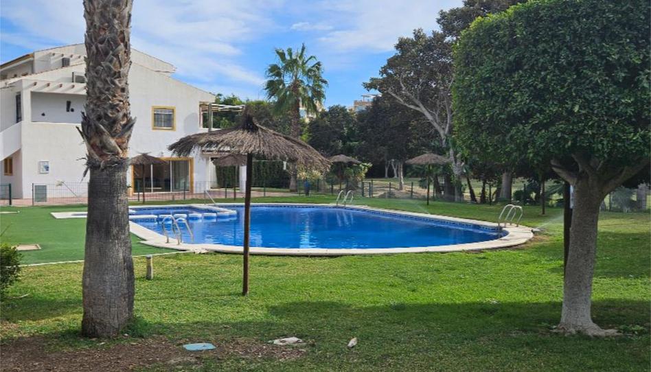 Planta baixa en venda a Avenida Pintor Fernando Soria, 8, Alicante Golf, Alicante / Alacant - imatge 1 Foto 1 de Planta baixa en venda a Avenida Pintor Fernando Soria, 8, Alicante Golf, Alicante / Alacant