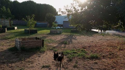 Photo 3 of Country house to rent in Valdunciel, Salamanca
