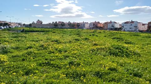 Finca rústica en venda a Calle Lichi, 2, Capuchinos - Los Olivos, Vélez-Málaga - imatge 5 Foto 5 de Finca rústica en venda a Calle Lichi, 2, Capuchinos - Los Olivos, Vélez-Málaga