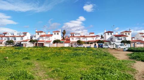 Finca rústica en venda a Calle Lichi, 2, Capuchinos - Los Olivos, Vélez-Málaga - imatge 3 Foto 3 de Finca rústica en venda a Calle Lichi, 2, Capuchinos - Los Olivos, Vélez-Málaga