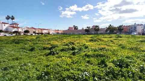 Finca rústica en venda a Calle Lichi, 2, Capuchinos - Los Olivos, Vélez-Málaga - imatge 4 Foto 4 de Finca rústica en venda a Calle Lichi, 2, Capuchinos - Los Olivos, Vélez-Málaga