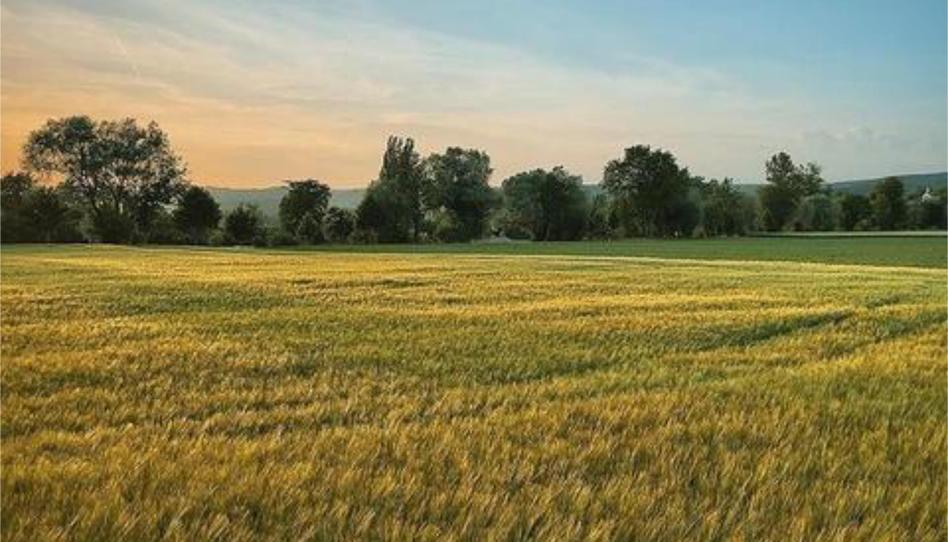 Casa o xalet en venda a Avenida Valladolid - Barriada Yagüe, Soria Capital - imatge 1 Foto 1 de Casa o xalet en venda a Avenida Valladolid - Barriada Yagüe, Soria Capital