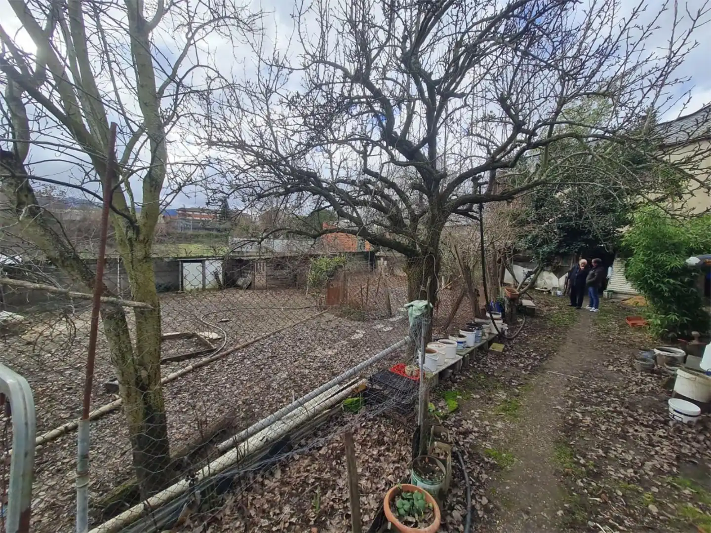 Casa o xalet en venda a Calle Susana González, 55, Bembibre Casa o xalet en venda en Bembibre amb Jardí privat, Terrassa i Traster