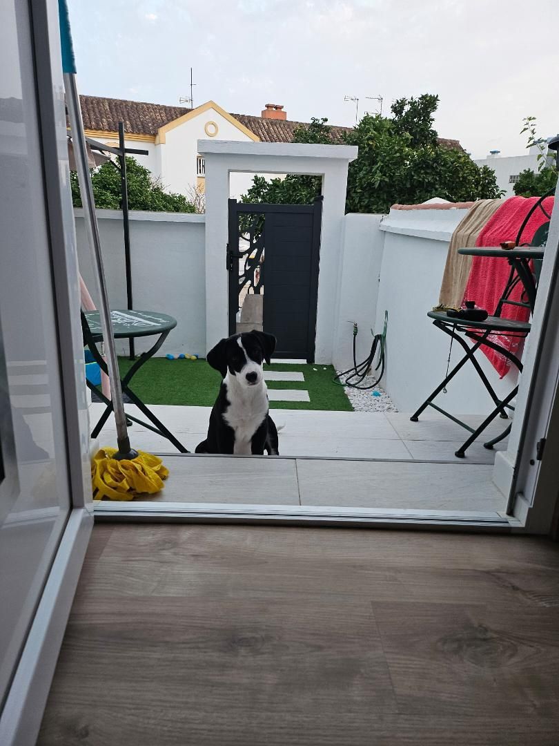 Jardí de Casa adosada en venda en Los Barrios amb Aire condicionat