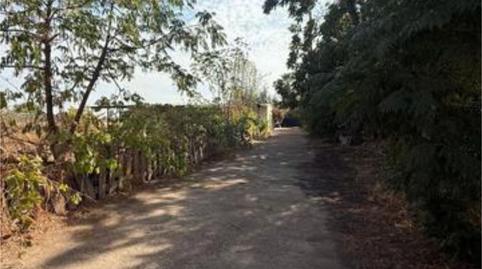 Photo 3 of Single-family semi-detached for sale in San Jerónimo - La Bachillera,  Sevilla Capital