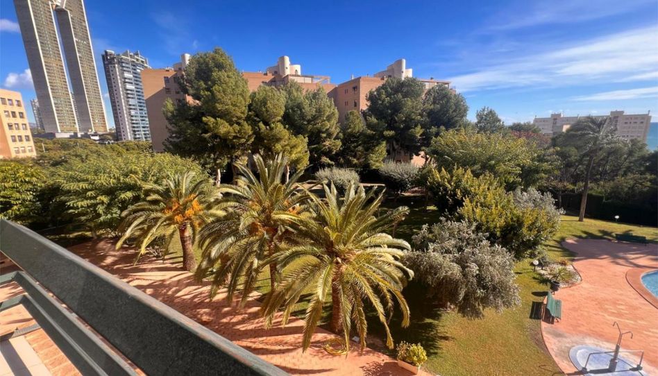 Piso en venta en Avinguda Marina Baixa, 4, Playa Poniente, Benidorm - imagen 1 Foto 1 de Piso en venta en Avinguda Marina Baixa, 4, Playa Poniente, Benidorm