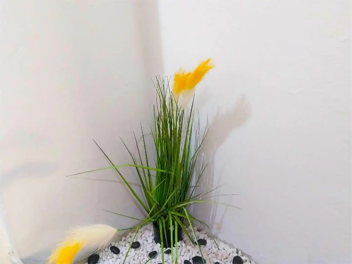 Room in Carrer del Músic José Torregrosa, 16, Villafranqueza Garden of Houses for share in Alicante / Alacant with Heating, Private garden and Terrace