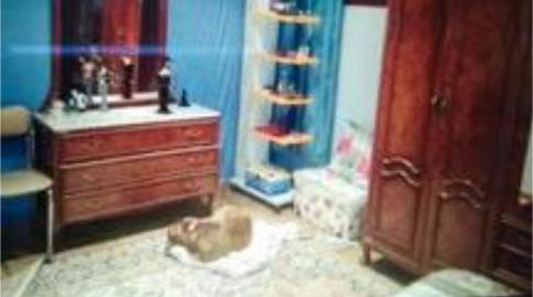 Casa o xalet de lloguer a Lalín, Pontevedra - imatge 5 Foto 5 de Casa o xalet de lloguer a Lalín, Pontevedra