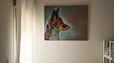 Apartament de lloguer a Calle Camino de Grazalema, 1, Villamartín, Cádiz - imatge 4 Foto 4 de Apartament de lloguer a Calle Camino de Grazalema, 1, Villamartín, Cádiz