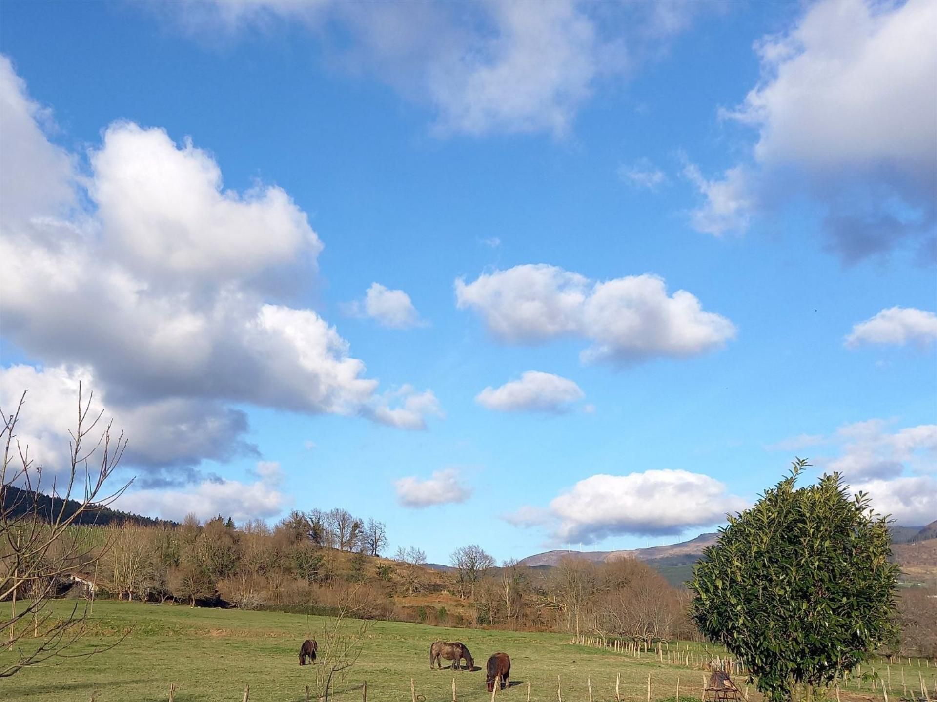 Exterior view of Flat for sale in Amorebieta-Etxano  with Heating, Private garden and Parquet flooring