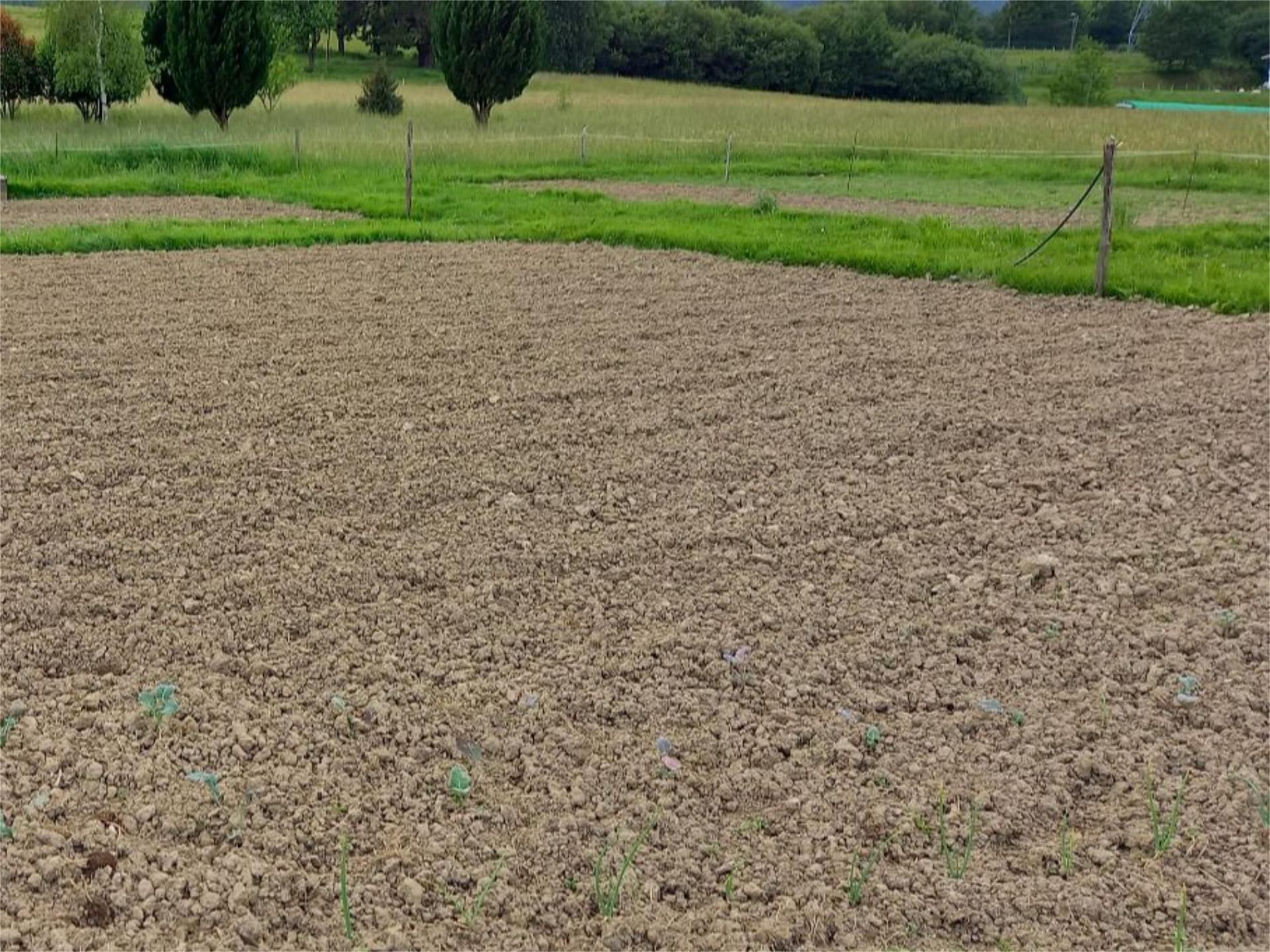 Flat for sale in Amorebieta-Etxano