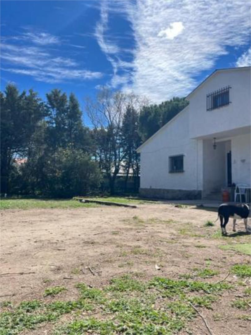 Single-family semi-detached to share in El Guijo - Colonia España