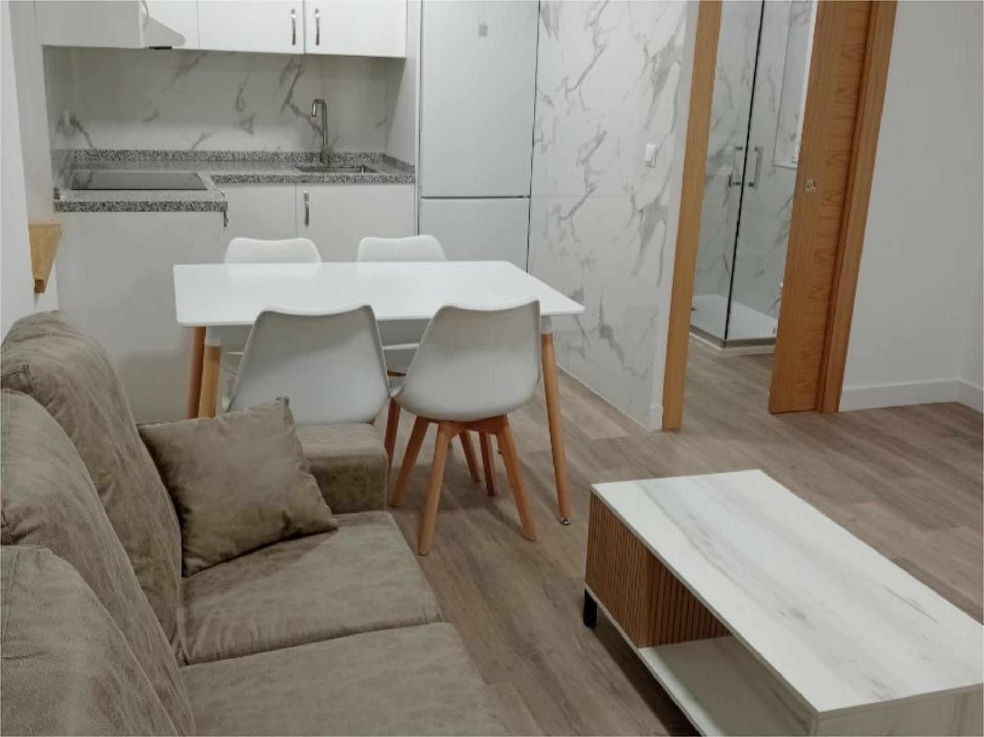 Sala d'estar de Pis de lloguer en León Capital  amb Aire condicionat, Calefacció i Parquet