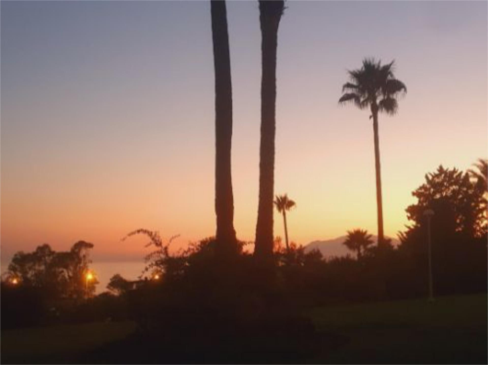 Exterior view of Apartment to rent in Marbella  with Private garden, Terrace and Swimming Pool