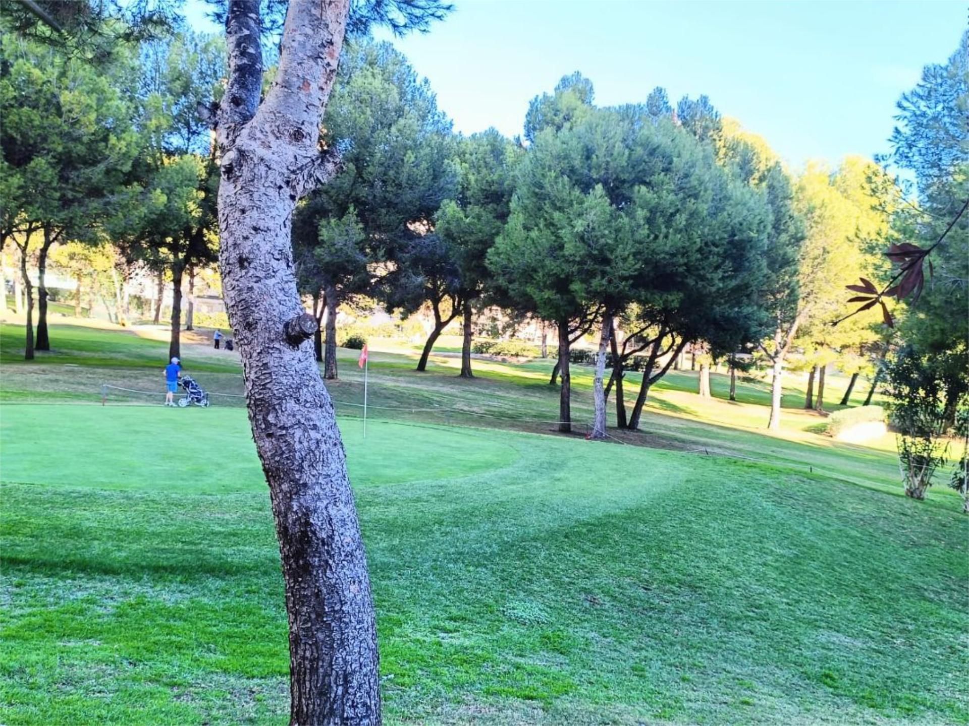 Vista exterior de Pis en venda en Benidorm amb Aire condicionat, Terrassa i Piscina