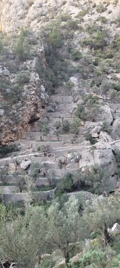 Vista exterior de Finca rústica en venda en Sóller