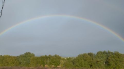 Photo 2 of Country homes for sale in Ma-4015, 14, Manacor Centre, Manacor