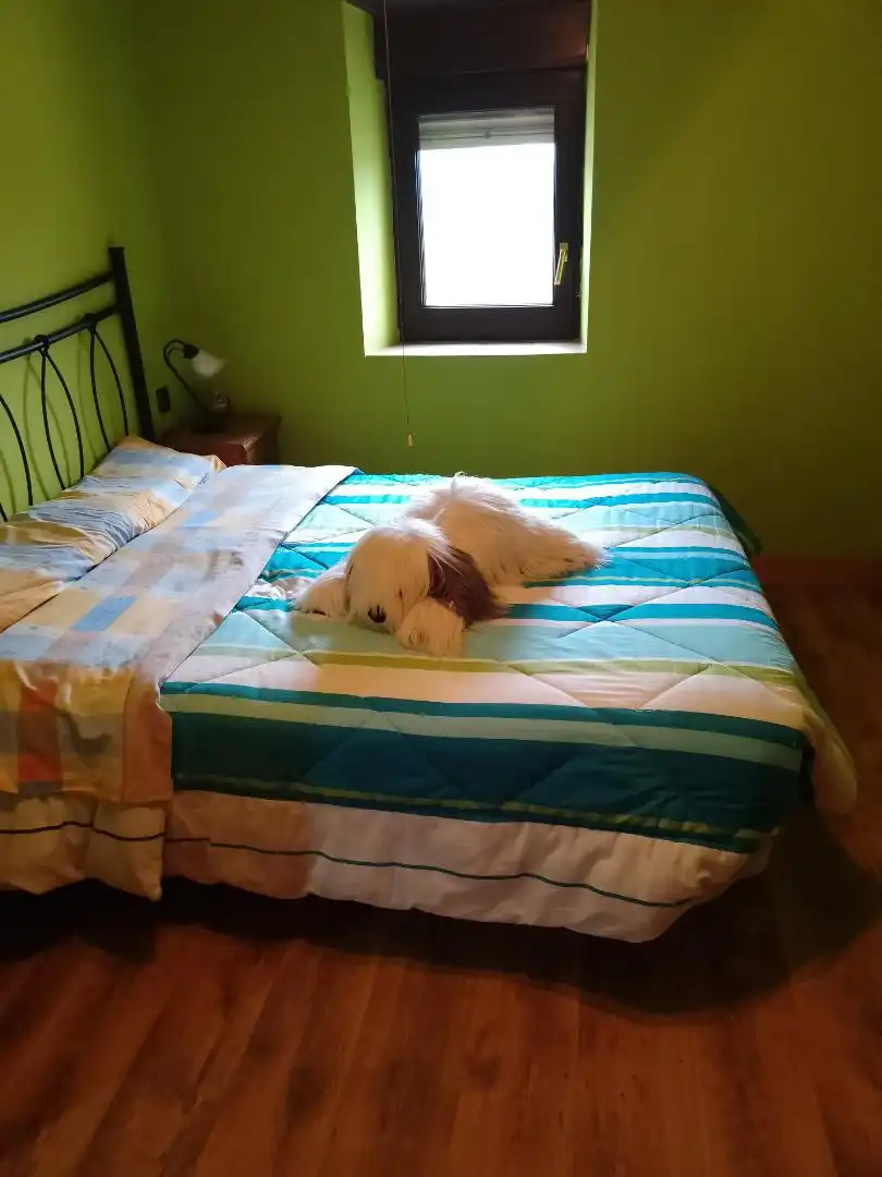 Casa adosada en venta en N-639, 4, Zierbena Habitación de Casa adosada en venta en Zierbena con Amueblado