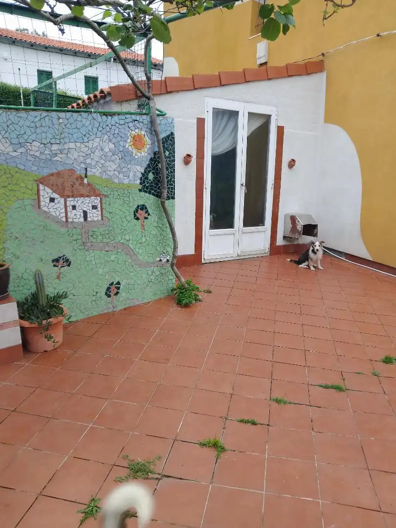Casa adosada en venta en N-639, 4, Zierbena Jardín de Casa adosada en venta en Zierbena con Amueblado