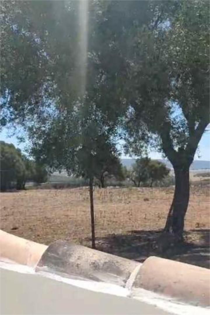 Casa adosada de lloguer a Vejer