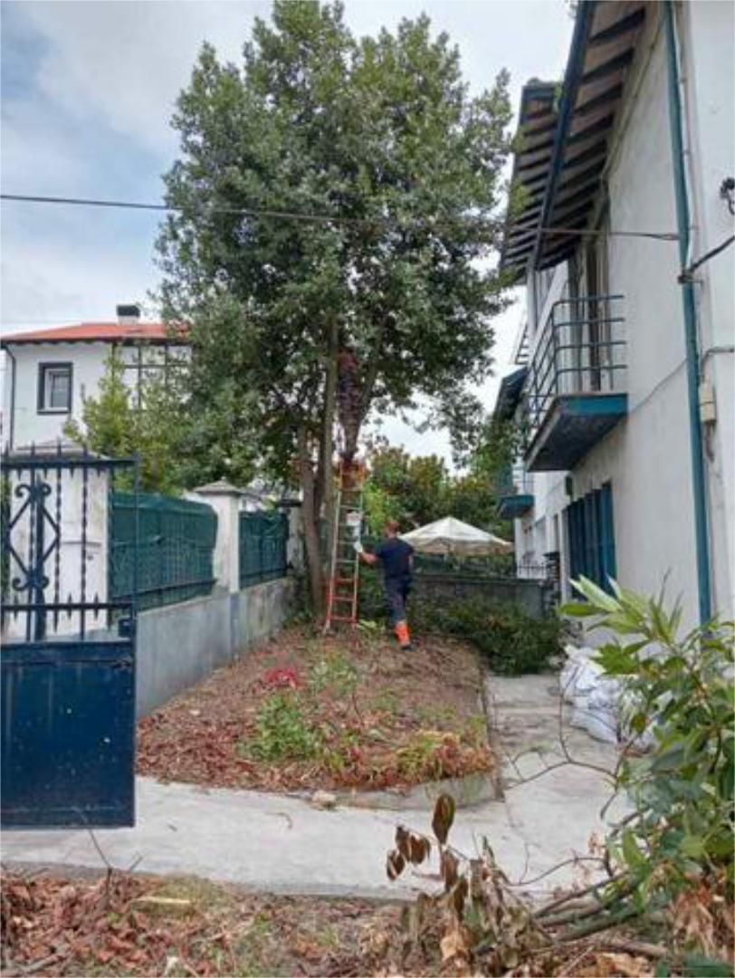 Jardí de Casa adosada en venda en Bilbao  amb Calefacció, Jardí privat i Terrassa