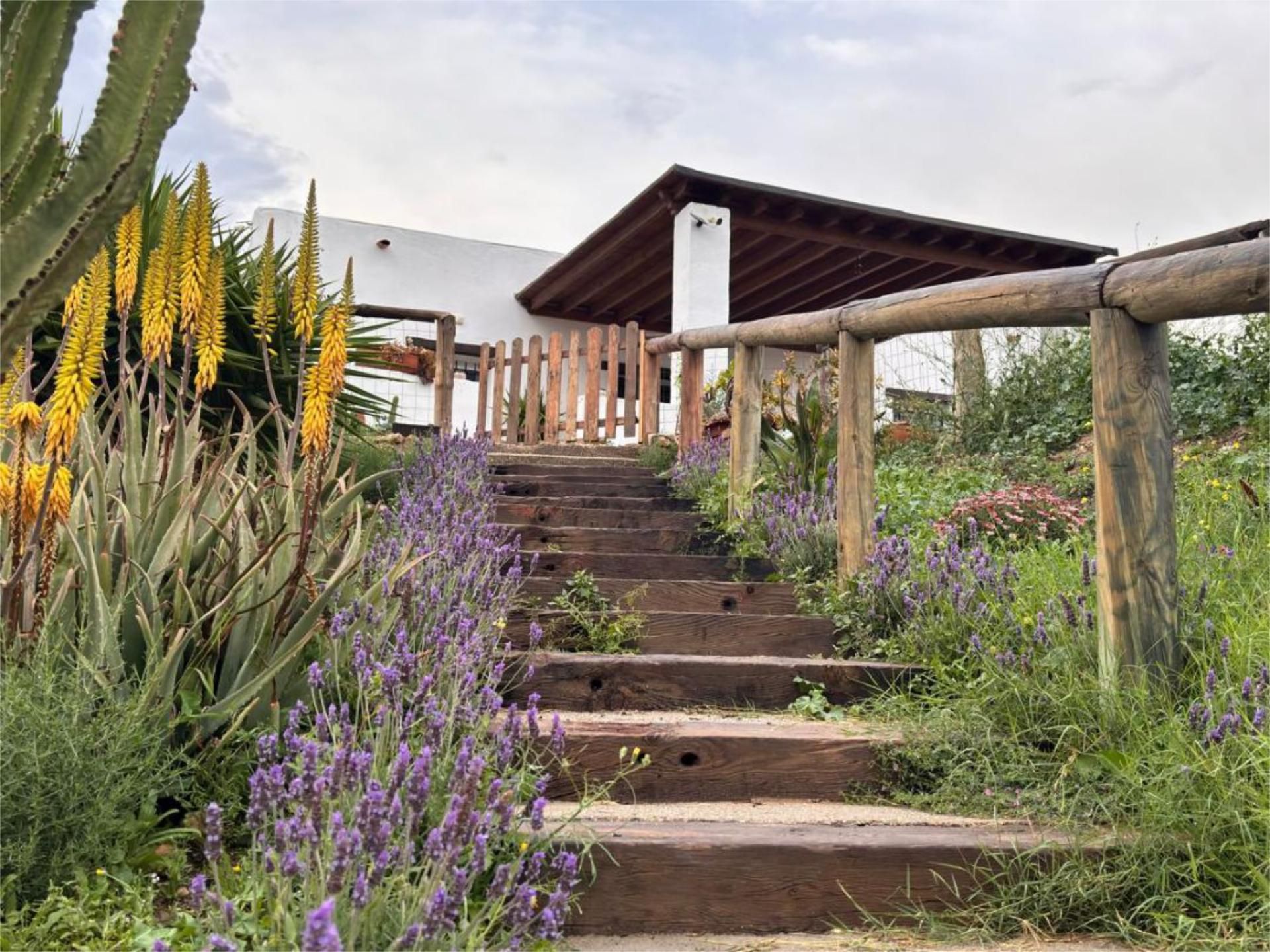 Garden of House or chalet for sale in Pechina  with Air Conditioner, Terrace and Swimming Pool