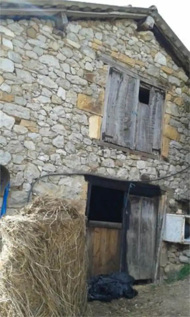 Vista exterior de Casa o chalet en venta en Piloña