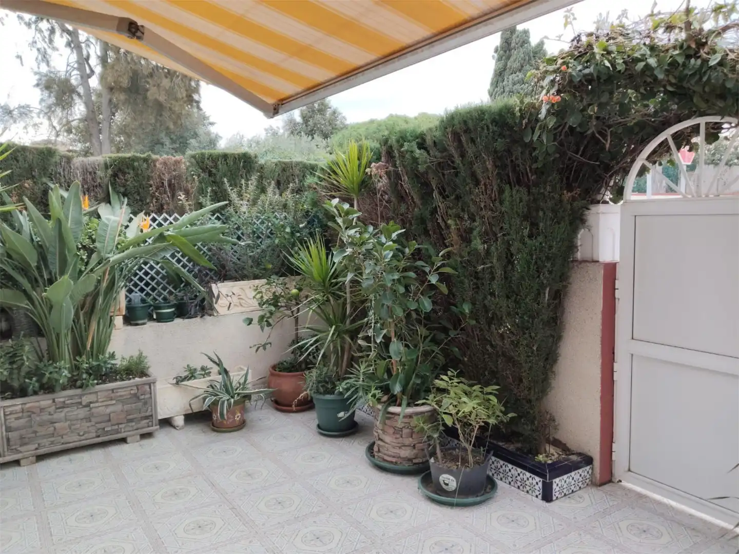 Piso en venta en Calle Alto Rey, 6, Los Balcones - Los Altos Terraza de Piso en venta en Torrevieja con Aire acondicionado, Calefacción y Jardín privado