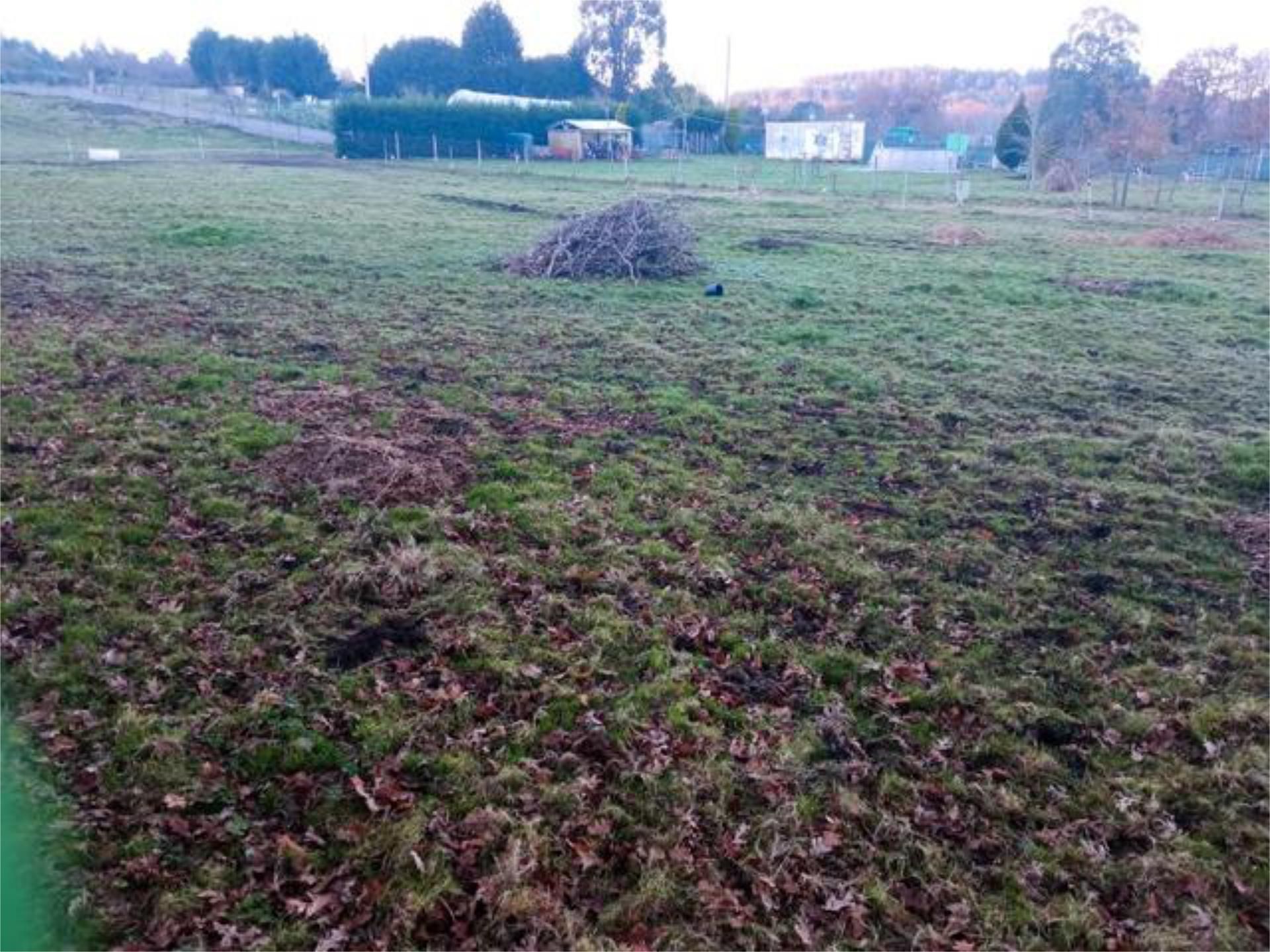 Casa o chalet en venta en Lugo Capital