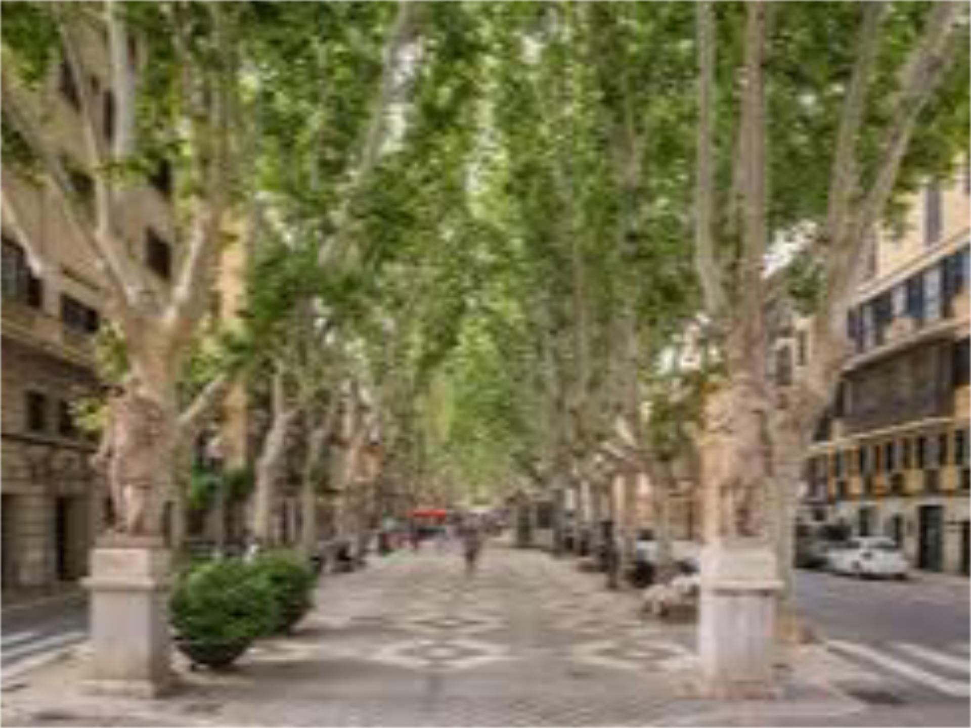 Flat to rent in La Missió