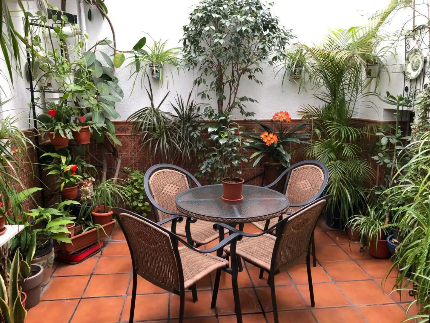 Casa adosada en venda a Calle Sagunto, 41, Sagunto - Edisol Terrassa de Casa adosada en venda en Córdoba amb Aire condicionat, Calefacció i Terrassa