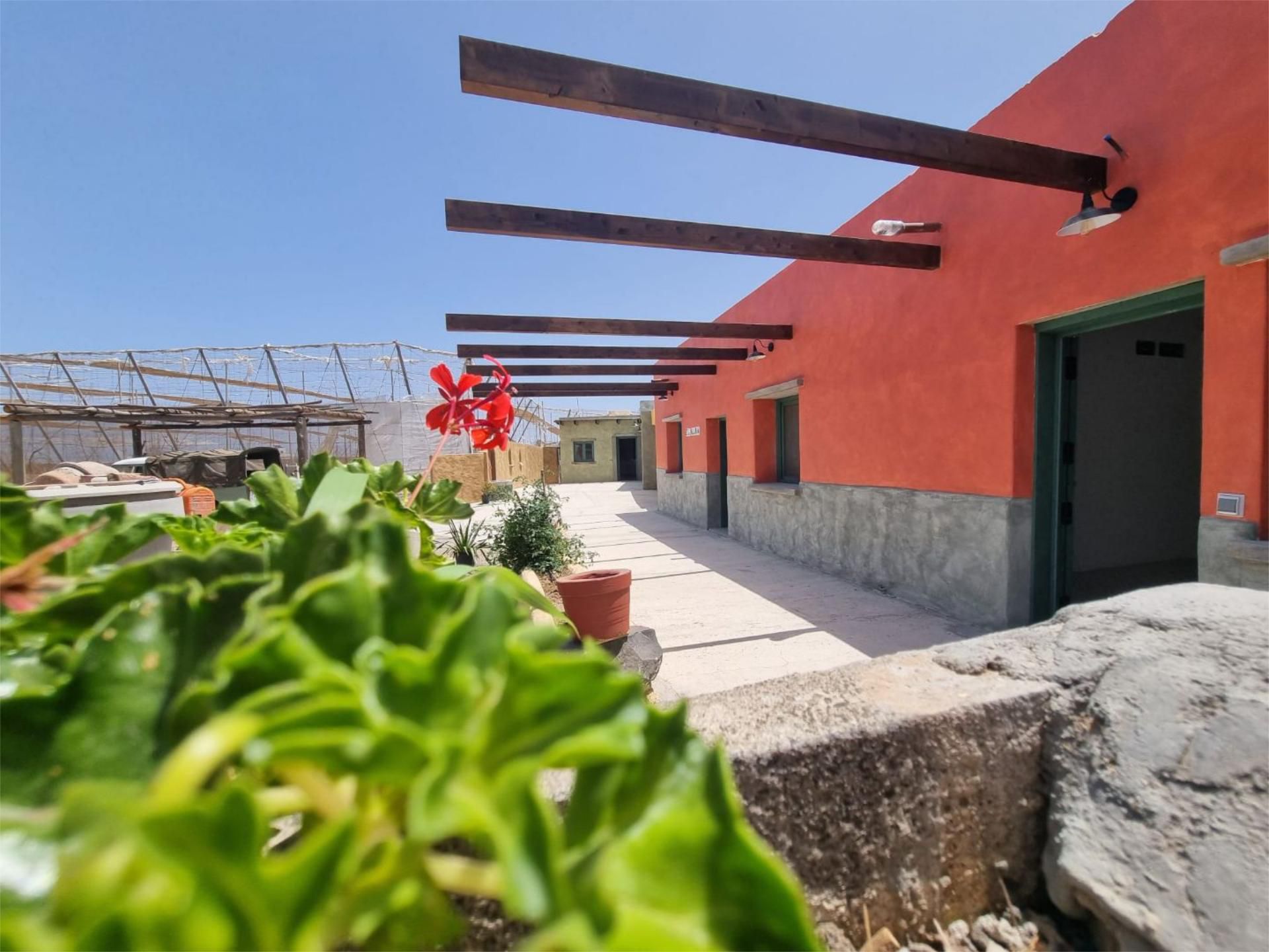 Exterior view of Country house to rent in Telde  with Private garden