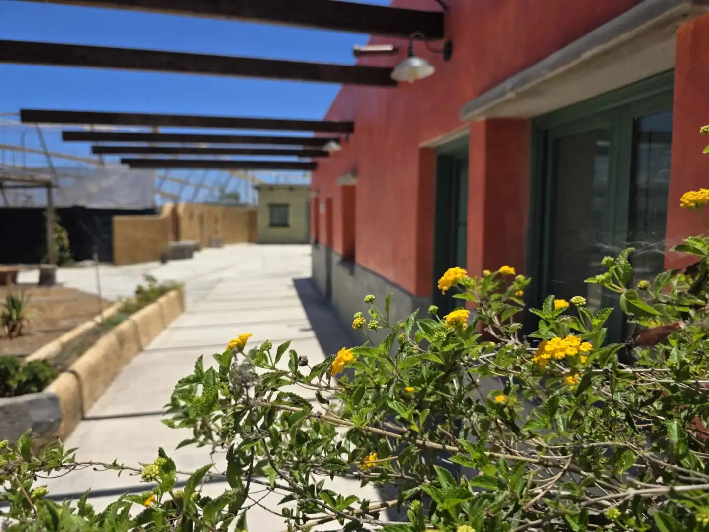 Vista exterior de Finca rústica de lloguer en Telde amb Jardí privat i Terrassa