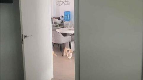 Apartamento en venta en Los Peñascos - El Salero - Los Imbernones, San Pedro del Pinatar - imagen 5 Foto 5 de Apartamento en venta en Los Peñascos - El Salero - Los Imbernones, San Pedro del Pinatar