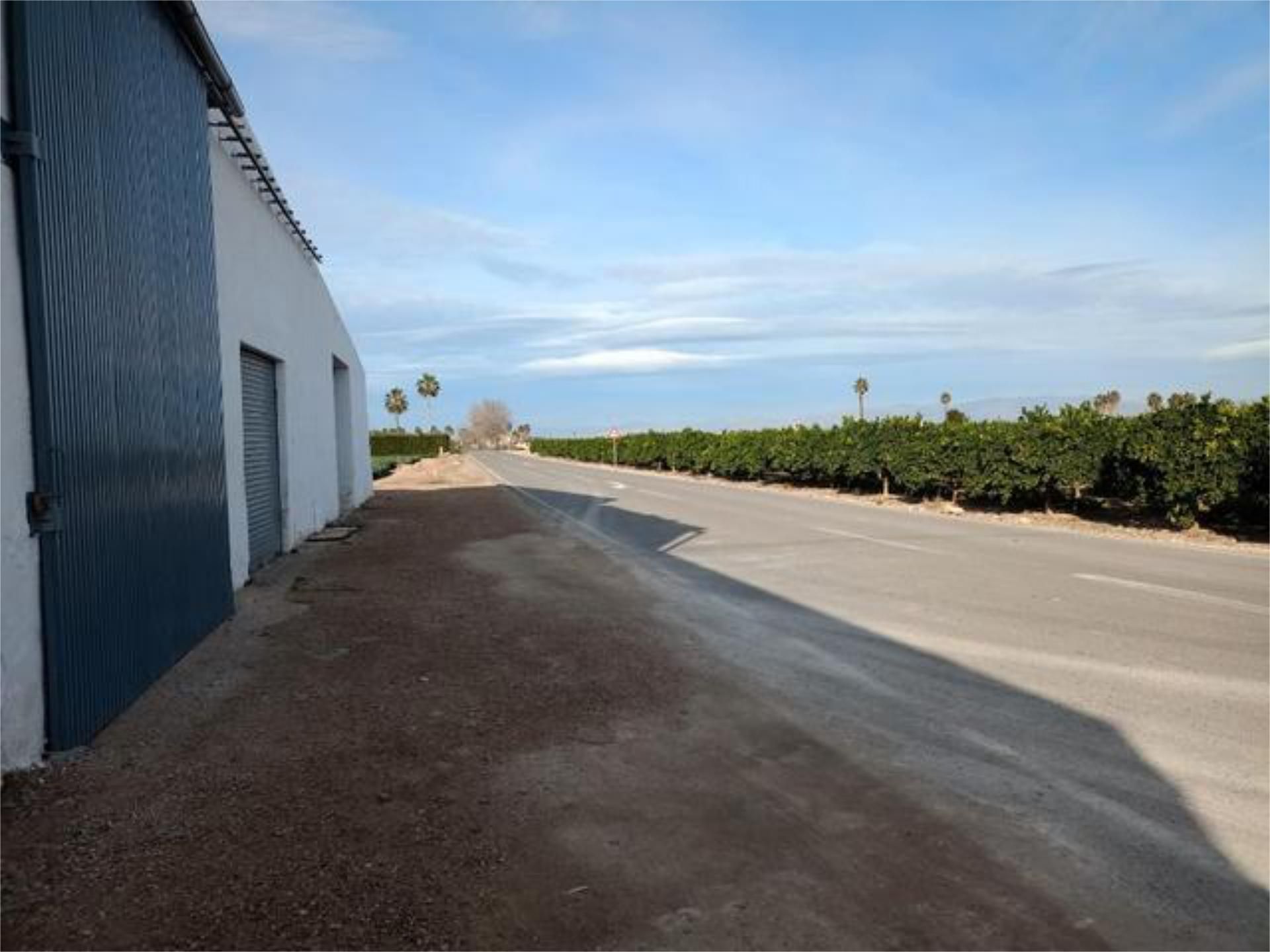 Exterior view of Industrial buildings to rent in Guardamar del Segura