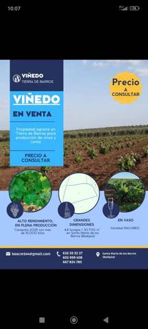 Finca rústica en Venta en Calle Ramón y Cajal, 33 en Santa Marta