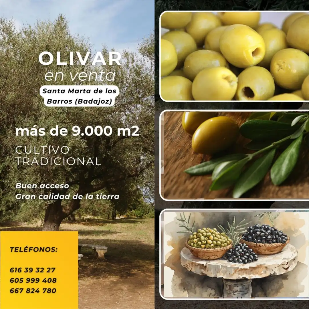 Grundstücke zum Verkauf in Santa Marta