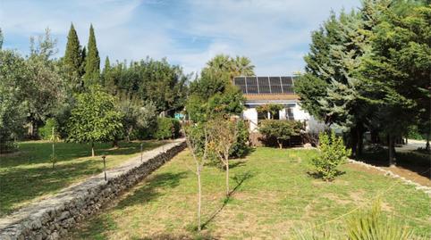 Foto 3 de Apartament de lloguer a Avenida de la Marina Alta, 20, Pedreguer, Alicante