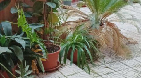 Photo 3 of Flat for sale in Calle del Olivar, 52, Embajadores - Lavapiés,  Madrid Capital