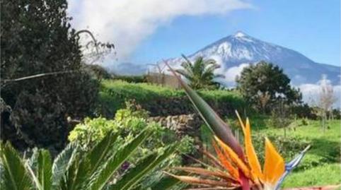 Photo 2 of Single-family semi-detached to rent in El Sauzal, Santa Cruz de Tenerife