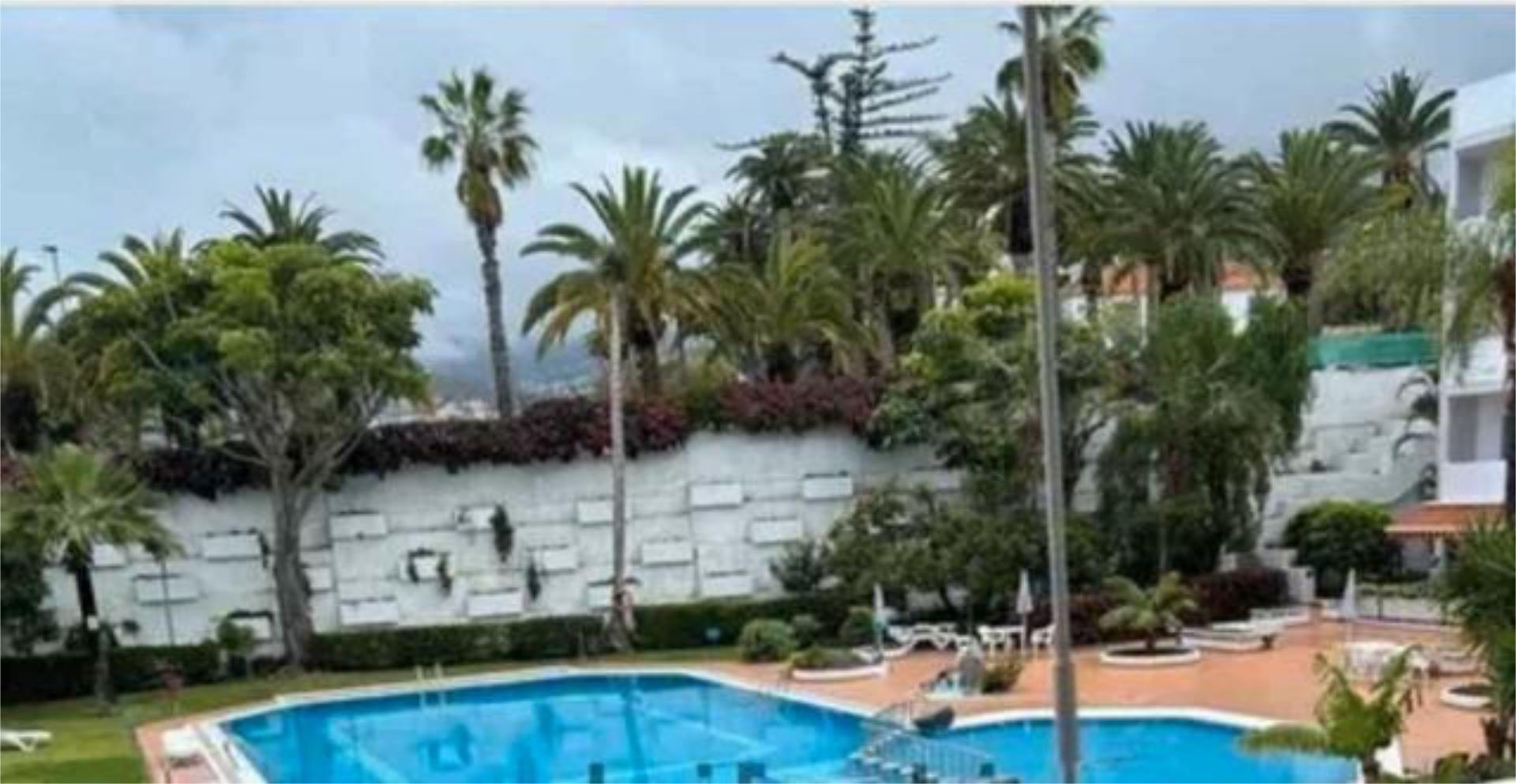 Study to rent in Zona Botánico