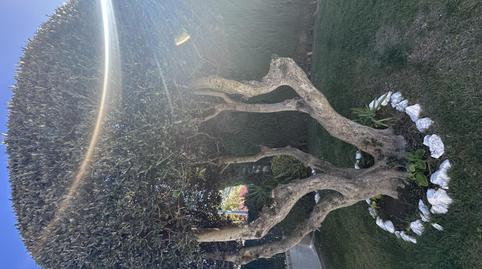 Foto 3 de Finca rústica en venda a Calle Mayor, 13, Garrapinillos,  Zaragoza Capital