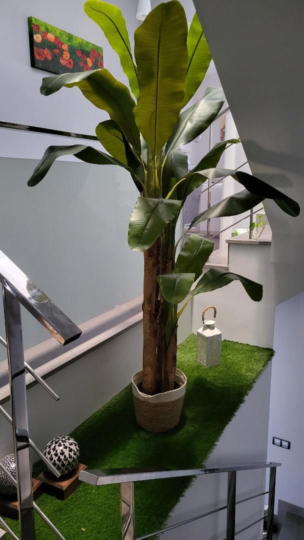 Jardí de Casa adosada en venda en  Jaén Capital