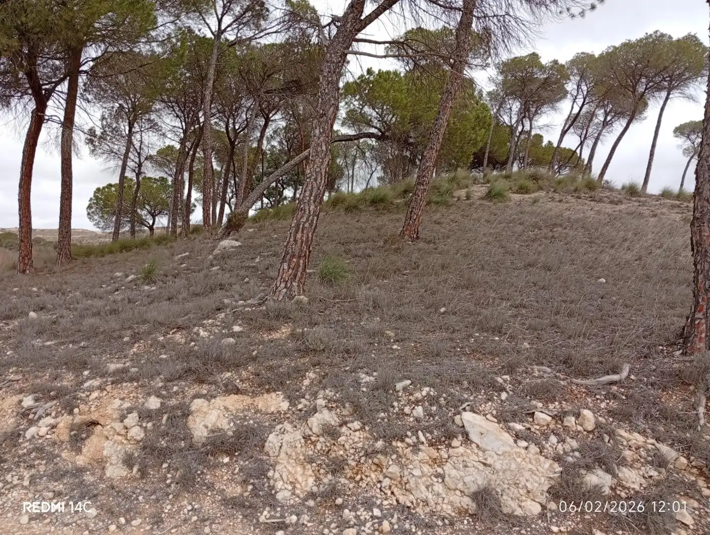 Country homes for sale in Calle Larga, 31, Valdeganga Country homes for sale in Valdeganga with Private garden
