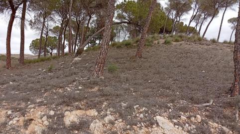 Finca rústica en venda a Calle Larga, 31, Valdeganga, Albacete - imatge 5 Foto 5 de Finca rústica en venda a Calle Larga, 31, Valdeganga, Albacete