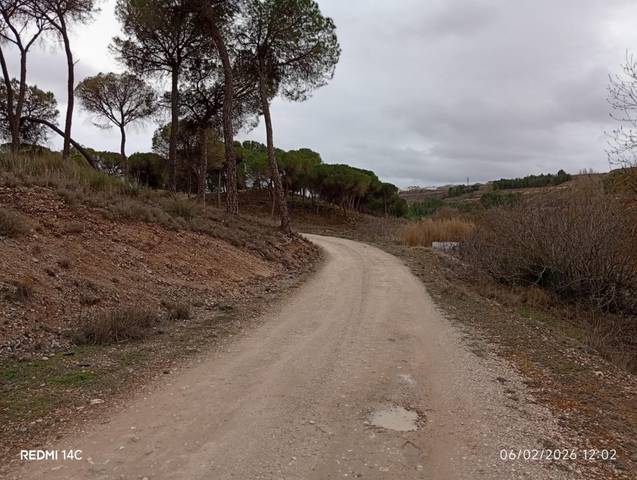 Finca rústica en Venta en Calle Larga, 31 en Valdeganga