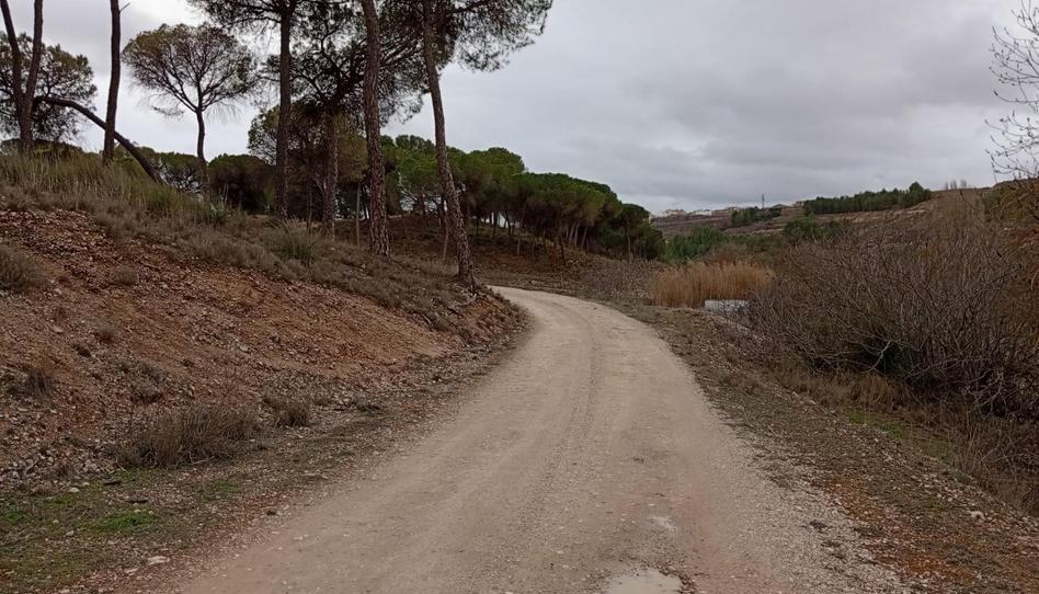 Finca rústica en venda a Calle Larga, 31, Valdeganga, Albacete - imatge 1 Foto 1 de Finca rústica en venda a Calle Larga, 31, Valdeganga, Albacete