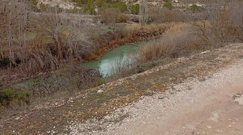 Finca rústica en venda a Calle Larga, 31, Valdeganga, Albacete - imatge 4 Foto 4 de Finca rústica en venda a Calle Larga, 31, Valdeganga, Albacete