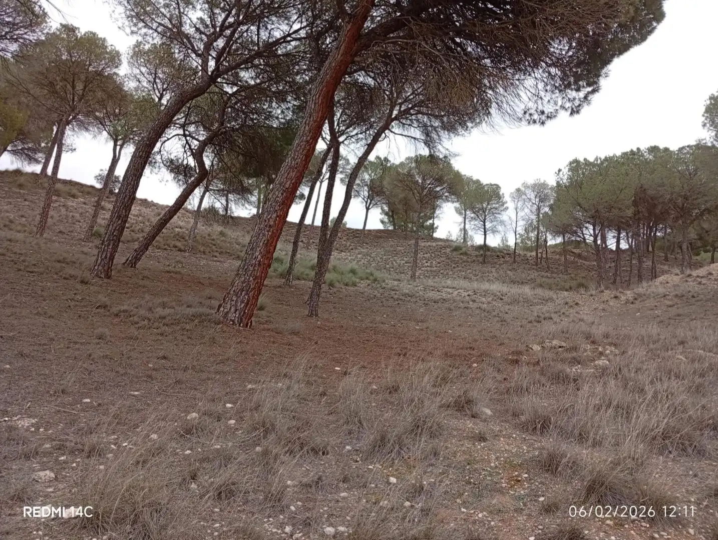 Country homes for sale in Calle Larga, 31, Valdeganga Country homes for sale in Valdeganga with Private garden